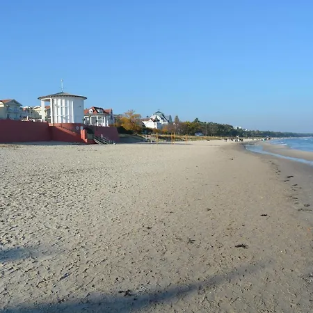 Caspar David 7 宾茨