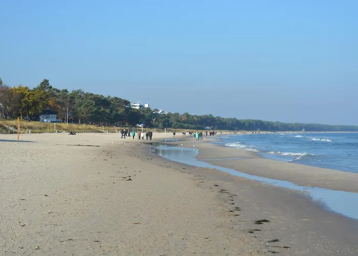 Caspar David 7 아파트 *